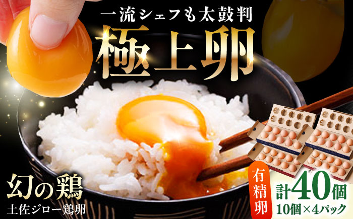 土佐ジロー鶏卵 40個 （10個×4パック）/ 高知 土佐 土佐ジロー 卵 たまご 玉子 鶏卵 卵焼き たまご焼き 玉子焼き 目玉焼き 生卵 卵かけご飯 TKG ギフト 贈り物 【とさやま養鶏場】 [ATHB002]