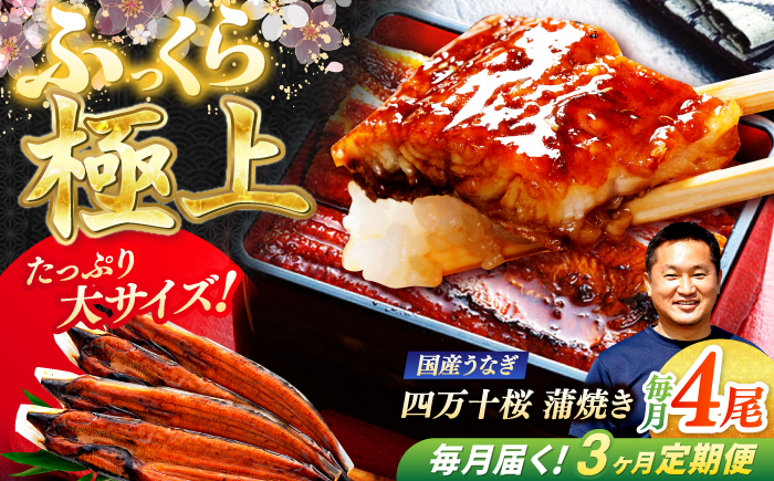 【3回定期便】極上国産うなぎ四万十桜 蒲焼き4尾 たっぷり大サイズ / 国産 高知 四万十 うなぎ ウナギ 鰻 蒲焼き うな重 惣菜 贅沢 【有限会社もりた】 [ATHE007]