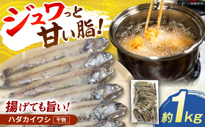 高知県産 ハダカイワシ干物 約1kg / 高知 ハダカイワシ イワシ いわし 魚 干物 冷凍 【ワクトフーズ】 [ATHF001]