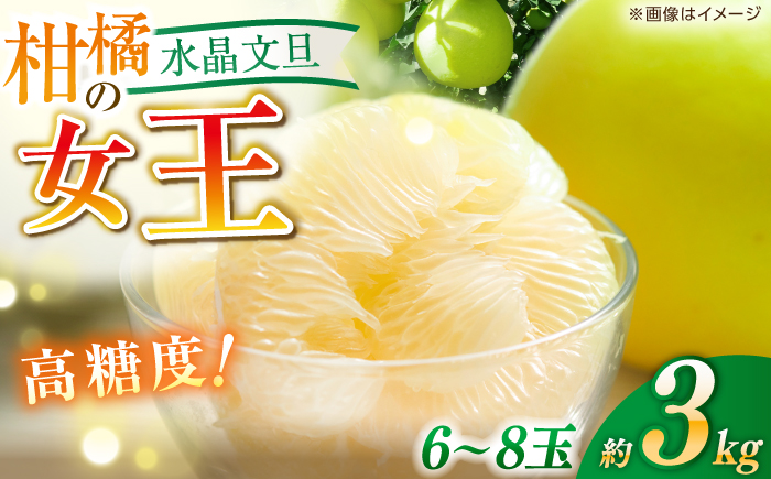 【先行予約】 水晶文旦 約3kg（6～8玉）栽培期間中農薬不使用 〈2025年12月20日～1月末発送〉 / 高知 文旦 果物 柑橘 フルーツ デザート 【川渕果樹園】 [ATHX003]