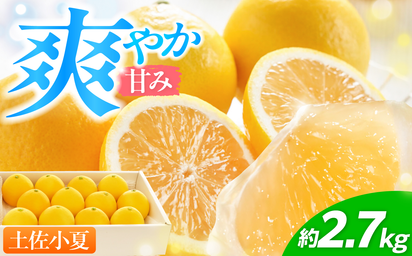 【先行予約】厳選・土佐小夏 約2.7kg（Mサイズ 約18個 または Sサイズ 約24個）〈2027年5月下旬頃～2027年8月上旬頃まで発送〉 / 小夏 土佐小夏 柑橘 果物 フルーツ デザート ビタミン 季節限定 期間限定 旬 初夏 高知 高知県 土佐 【L＋武田青果】[ATIT002]