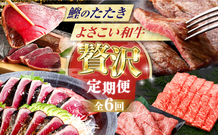 【6回定期便】カツオと和牛の赤身定期便/カツオ 食べ比べ 鰹のセット 土佐和牛 牛肉 高知市 こだわりのかつお [ATZX019]