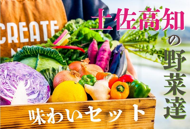 高知の新鮮野菜セット/旬の野菜を味わうお試し便