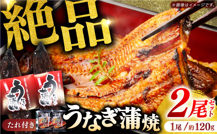 奇跡の清流「仁淀川」の伏流水で育てた高知県産「うなぎ蒲焼」2尾セット [株式会社海訪屋] [ATBC001]