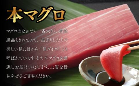 天然本マグロ　中トロ　２柵（４００ｇ）