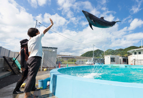 トレーナー体験２名（３歳以上小学生）