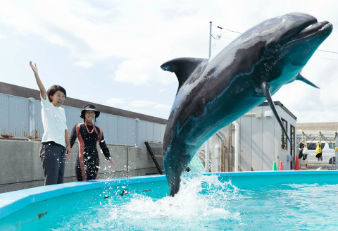 トレーナー体験３名（中学生以上）