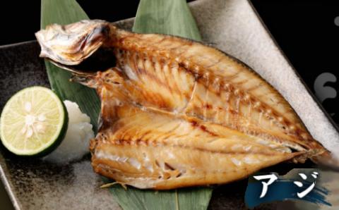 【訳あり】地魚干物セット 約1.5kg 干物 お楽しみ 訳あり セット 定期便 魚介類 室戸市 ひもの おかず おつまみ 魚 魚介類 惣菜 傷あり ご家庭用 冷凍 10000円 1万円 送料無料