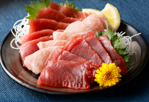 【室戸市】 厳選 天然 本マグロ 大トロ 中トロ 赤身 600g