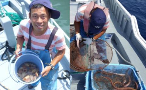 「深海王国」室戸からお届けする「活オオグソクムシ」【３匹】甲殻類 エビ・カニの仲間 珍味 高知県 室戸市 生きたまま 話題性