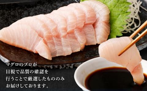 【室戸市】 厳選 トロビンチョウ 鮪 500g