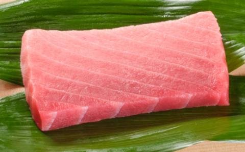 厳選ミナミマグロ中トロ１柵【誉丸】