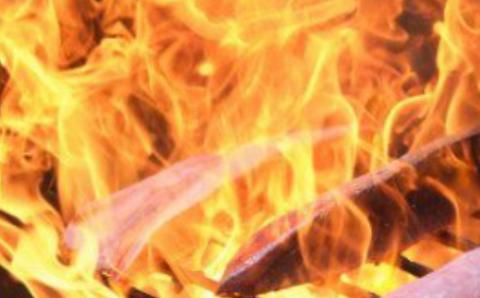 料亭花月～ハガツオのたたき　冷凍２節