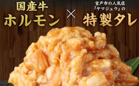 ヤマジュウの特製タレ漬け！国産牛ホルモン６００ｇ【３回定期便】