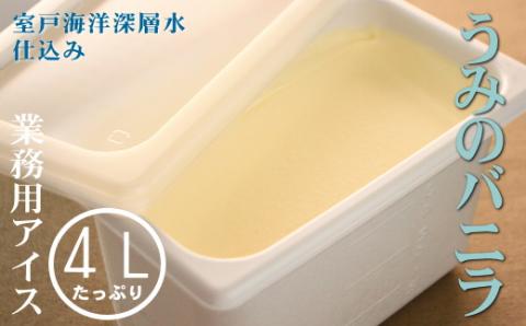 うみのバニラ４L 業務用アイス