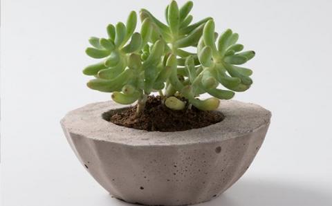 モルタルＭＯＲＳＣＨＥ【１．５ｋｇ】（ピンク）　２袋