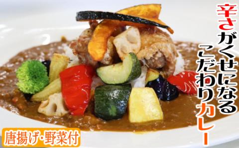 海土こだわり大人のカレー