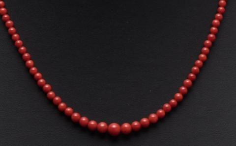 赤サンゴ ネックレス 丸玉 3から6mm｜宝石 珊瑚 訳あり アクセサリー ネックレス レディース メンズ ファッション ギフト プレゼント 高知県 室戸市