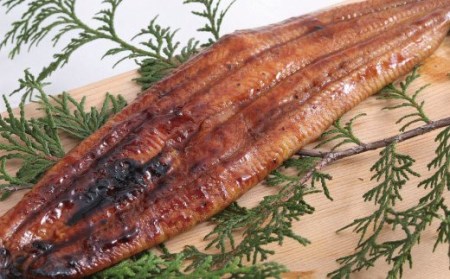 徳さんオススメ定期便【２ヶ月連続お届け】