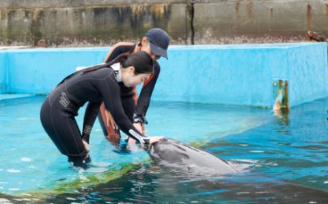 浅瀬ふれあい体験３名（中学生以上）
