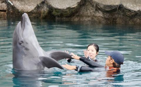 ドルフィンスイム３名（５歳以上小学生）