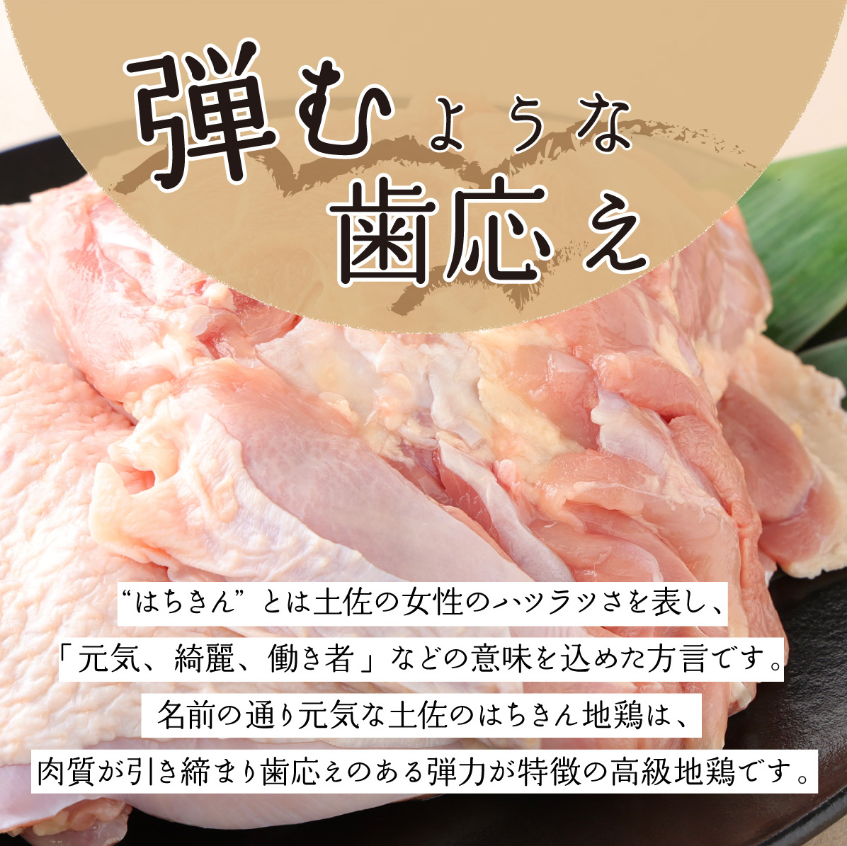 はちきん地鶏もも肉１ｋｇ