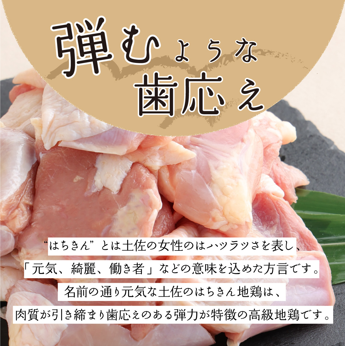 【２～３人前】はちきん地鶏のモモ肉　500ｇカット 鶏肉 小分け 冷凍 鶏もも肉 6000円