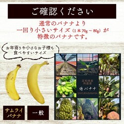 【冷凍フルーツ】高知県産 侍バナナ｜無農薬・国産・農家直送 手のひらサイズ 1kg バナナ フルーツ 果物 冷凍フルーツ バナナ サムライ スムージー ふるさと納税 冷凍バナナ 1kg（￥50,000）