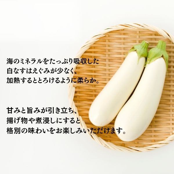 【訳あり】 農家直送 白茄子 土佐の美味茄子の新鮮ナス 8本 2kg 野菜 なす ナス 常温 小袋 国産 夏野菜 茄子 小分け 旬 高知 【訳あり】白茄子 2kg（￥20,000）