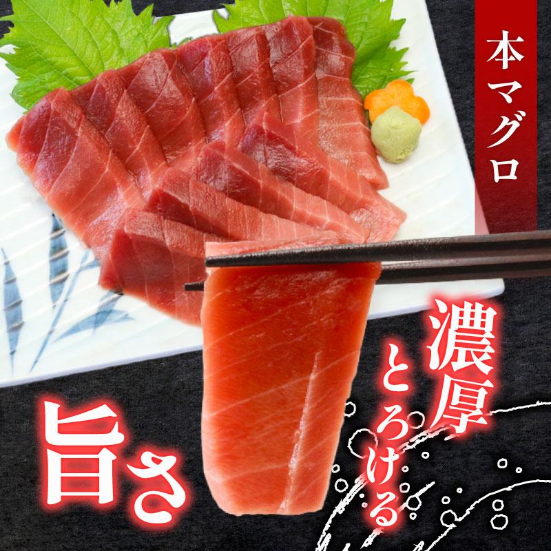 【６回定期便】天然本マグロ 天然南マグロ 中トロ 各２柵 偶数月  まぐろ 鮪 鮮魚 刺身 寿司 高級 食べ比べ