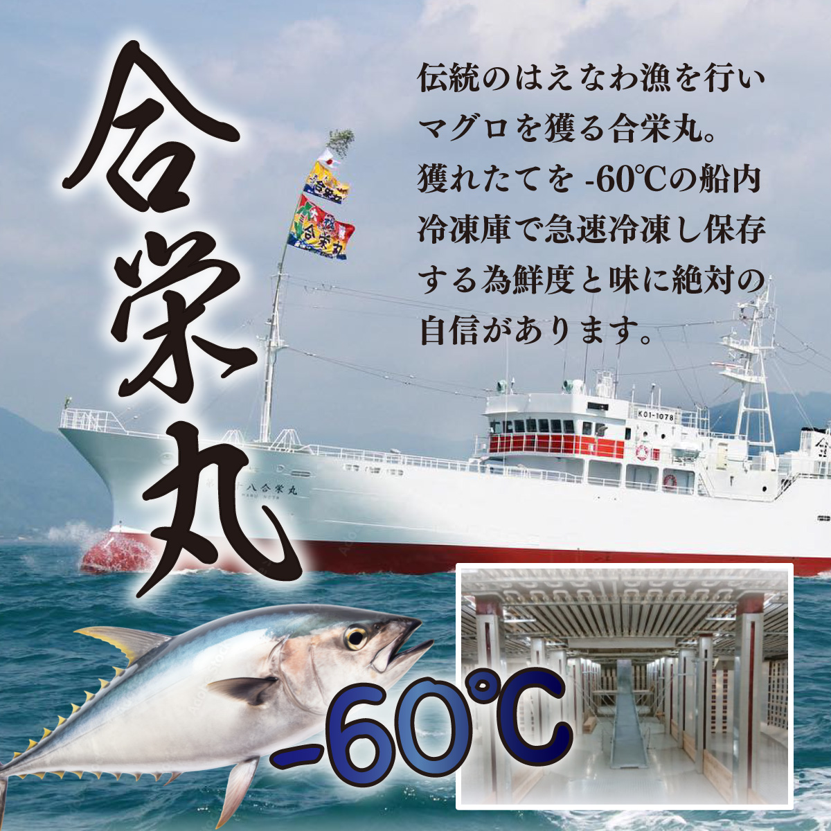 【室戸市】 厳選 天然 南マグロ 赤身 中トロ 大トロ 650g