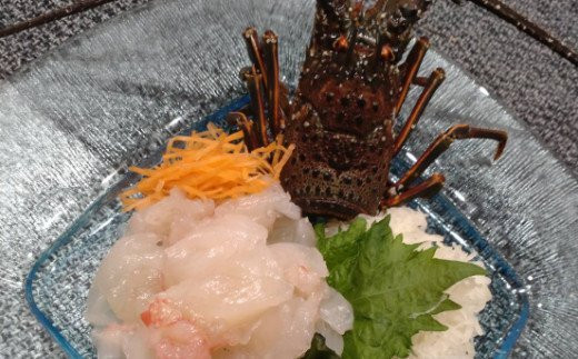 活き伊勢海老 600g以上 伊勢エビ 伊勢海老 えび 産地直送 送料無料 エビフライ 刺身 高知県 室戸市