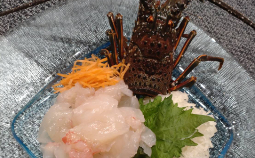 活きイセエビ 1.5㎏以上 伊勢エビ 伊勢海老 えび 産地直送 送料無料 エビフライ 刺身 高知県 室戸市