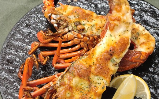 活きイセエビ 2㎏以上 伊勢エビ 伊勢海老  正月 パーティー エビフライ 刺身