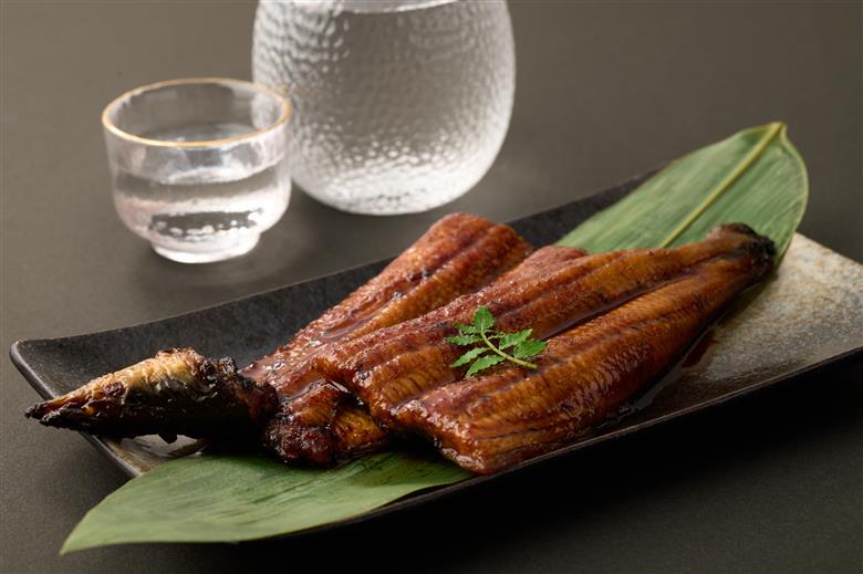 室戸のうまいもん！初音の定期便！年６回お届け【偶数コース】