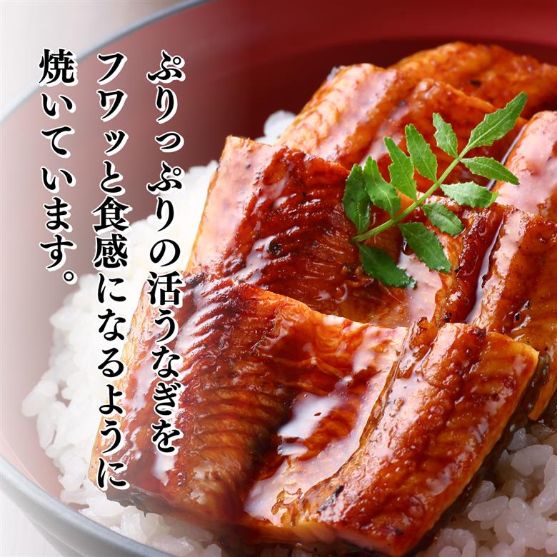 ７０年つぎ足しの秘伝のたれ！初音の厳選高知県産うなぎ蒲焼き２尾 ＿ 国産 ウナギ 鰻 うなぎ 蒲焼き 秘伝のタレ 土用の丑の日 配送可