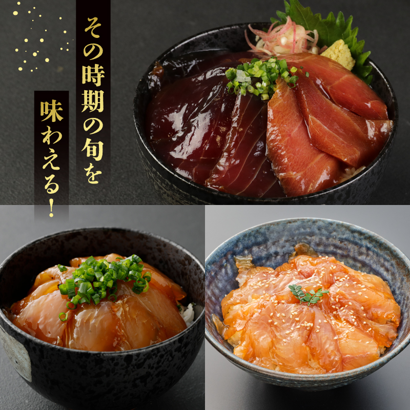 板前特製たれ仕込み！初音の旬の魚の漬け丼２セット【１２回定期便】