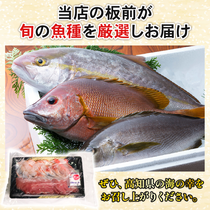 ほんとにおいしい！室戸のお刺身　２～３種盛り合わせお楽しみセット（２～３人前）鮮魚 刺し身 旬の魚 海の幸 お寿司 お惣菜