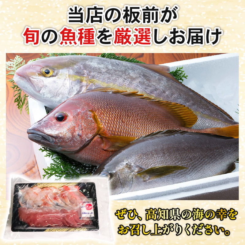【３回定期便】ほんとにおいしい！室戸のお刺身　２～３種盛り合わせお楽しみセット（２～３人前）