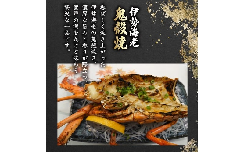 活 伊勢海老 訳あり 1.5kg(5匹＋タビエビ) 冷蔵 – 活き伊勢海老 訳あり 室戸産 国産 エビ えび 海鮮 魚介 産地直送 プリプリ 味噌汁 刺身 焼き物 汁物 室戸海洋深層水 黒潮 高知県 室戸市