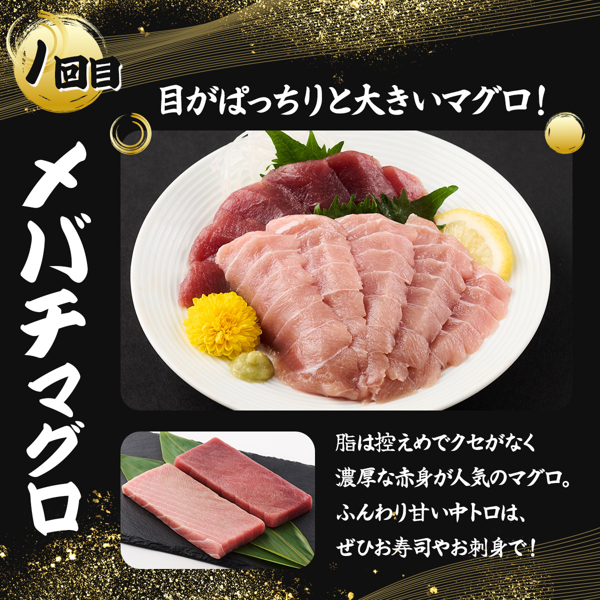 室戸屋誉丸の厳選マグロ（赤身・中トロ）を定期便で食べ比べ！【３回お届け】