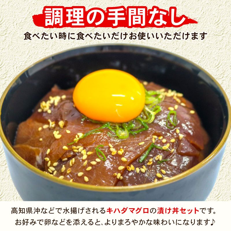 まぐろ漬け丼セット 80g×10パック マグロ 漬け丼 小分け 便利 1人前 鮪 海鮮丼 惣菜 時短 簡単 お手軽 冷凍 高知県 室戸市