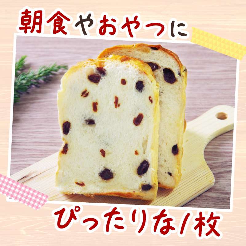 【室戸海洋深層水仕込み】レーズン食パン連続３回定期便  食パン ぱん 朝食 ギフト 定期便 人気 食事パン おやつ レーズン ぶどう ドライフルーツ４斤×３回