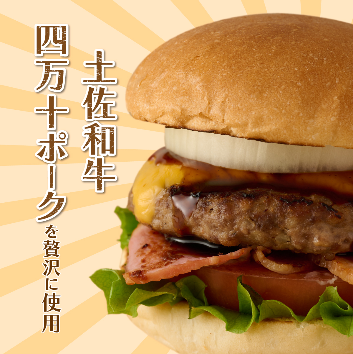 土佐和牛＆四万十ポーク合い挽きハンバーガーセット【５人前】