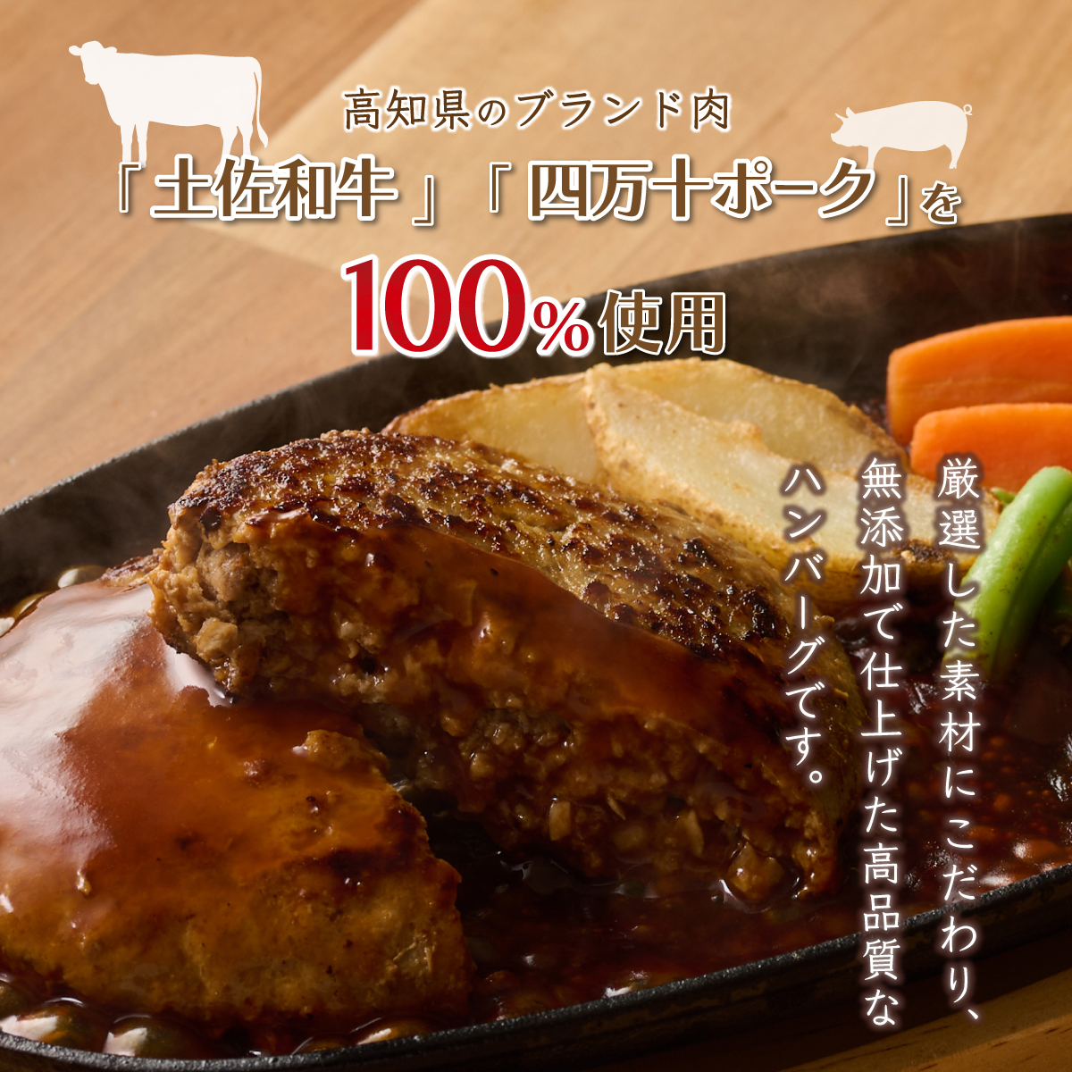 ハンバーガー屋の本気メガハンバーグ2ｋｇ（200ｇ×10個） ＜ 国産 高知県産 牛肉 豚肉 ブランド肉 希少 土佐あかうし 四万十ポーク ＞
