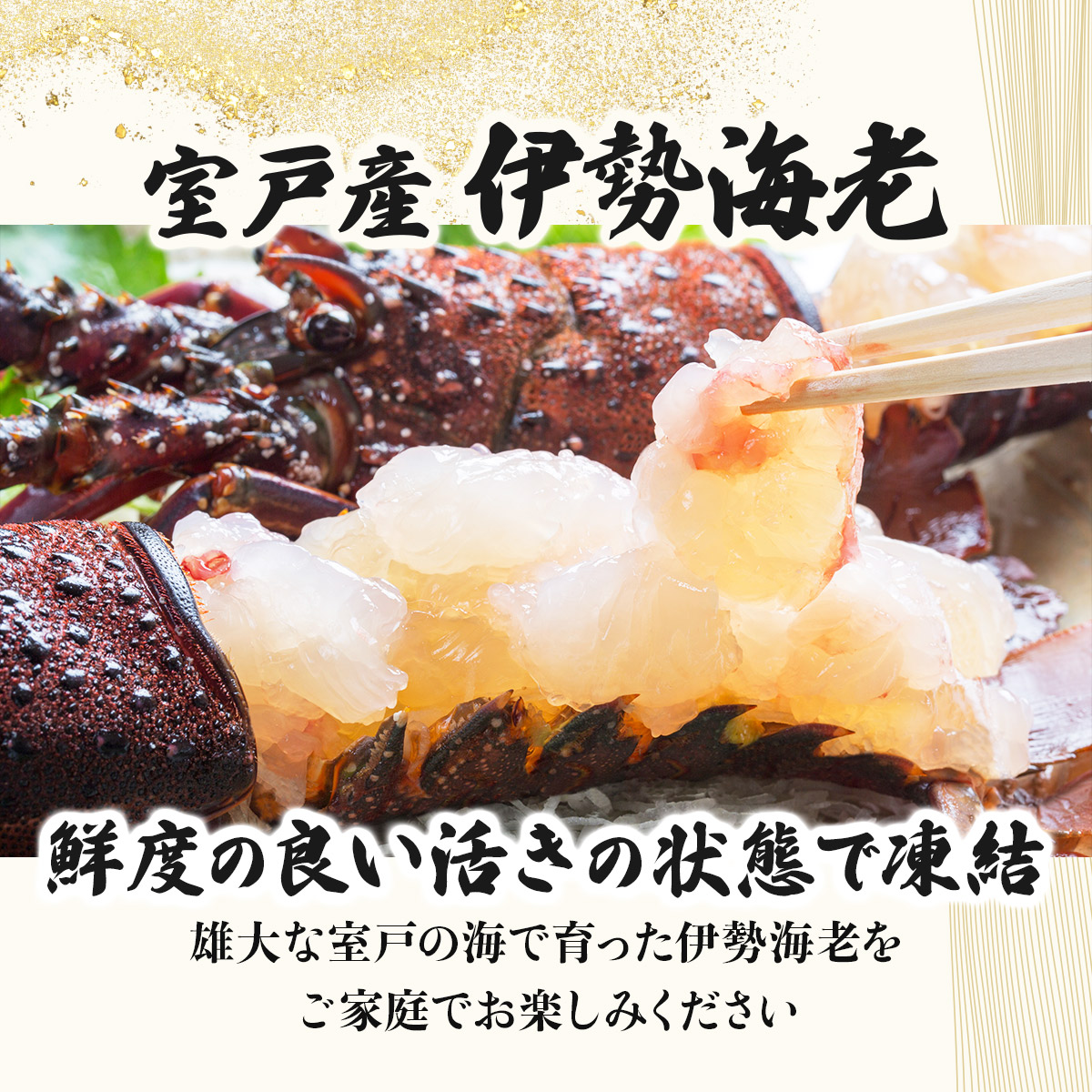 室戸産活冷伊勢海老【２～３尾】