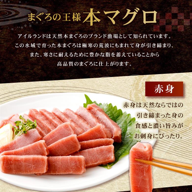 まぐろの王様！ 天然本まぐろ 味わいセット 400g サク 柵 スライス 切落し セット 天然 天然まぐろ 天然マグロ まぐろ 中トロ 赤身 鮪 刺身 お刺身 食べ比べ  高知 室戸 冷凍 小分け 便利
