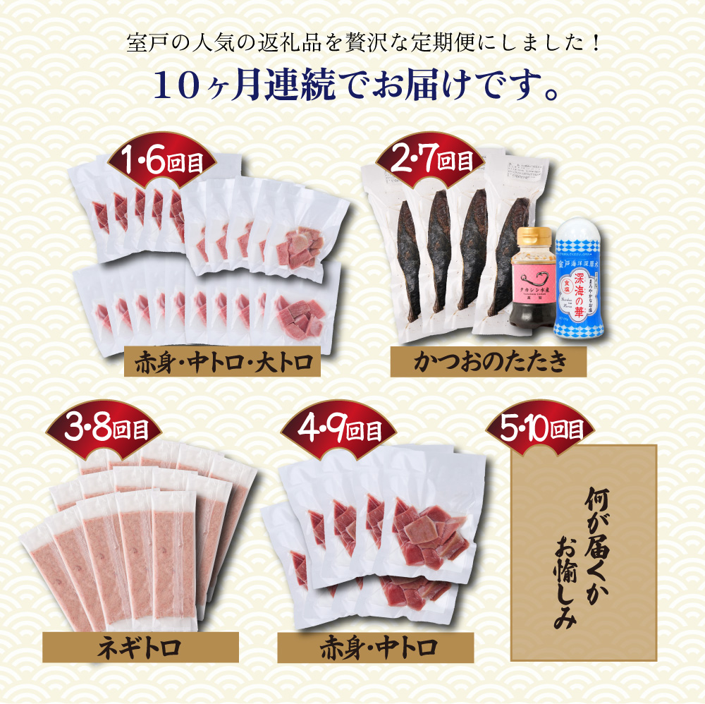 【 全10回定期便 】 厳選 高知の海鮮セット 本まぐろ かつおのたたき ネギトロ 魚介 海鮮 定期便 福袋 食べ比べ 贅沢