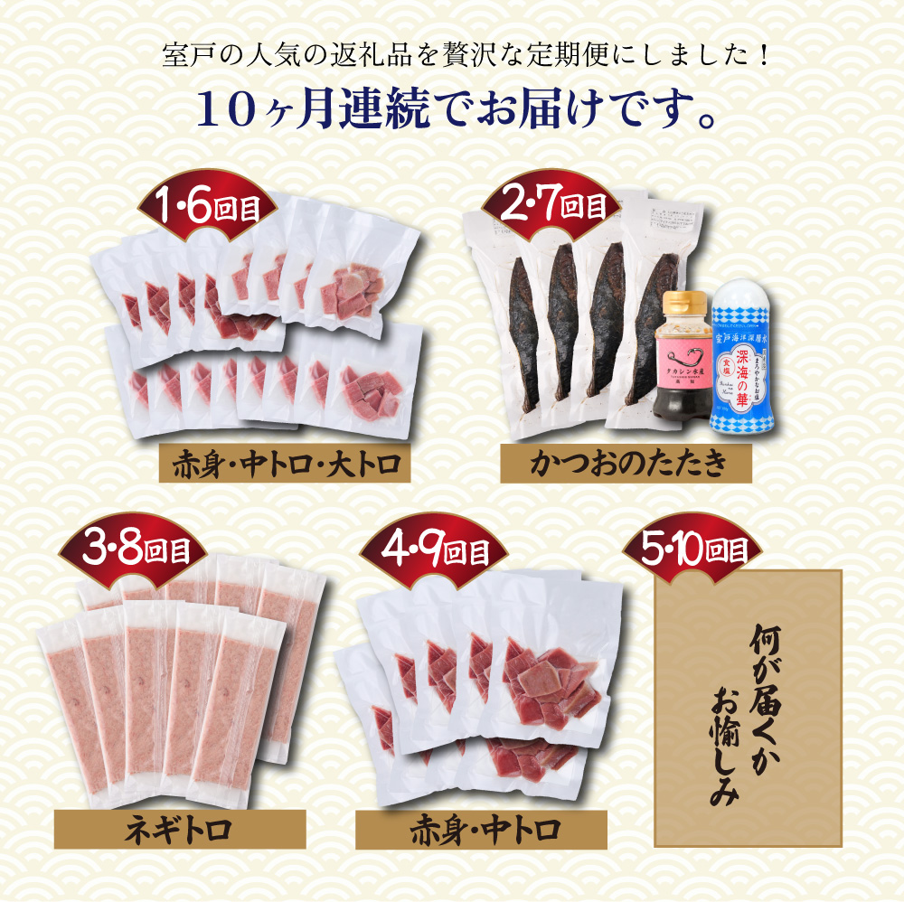 【 全10回定期便 】 厳選 高知の海鮮セット 本まぐろ かつおのたたき ネギトロ 魚介 魚 海鮮 福袋 定期便 詰め合わせ 食べ比べ 贅沢