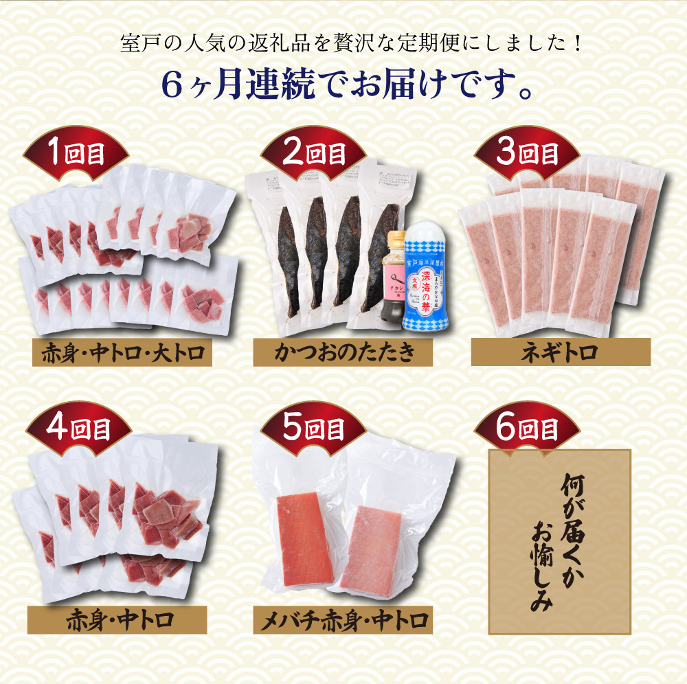【 全6回定期便 】 厳選 高知の海鮮セット 本まぐろ かつおのたたき ネギトロ 魚 魚介 海鮮 福袋 定期便 詰め合わせ 食べ比べ